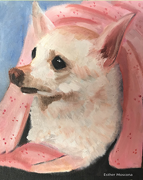 Chihuahua
